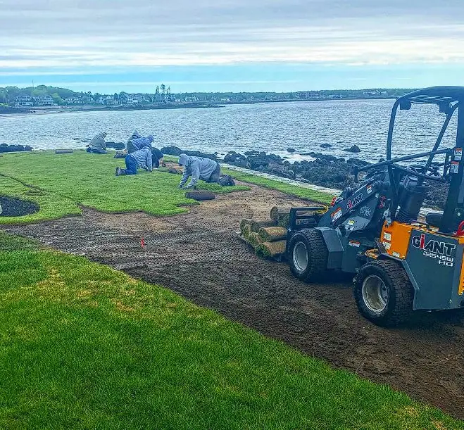 Loader grading a coastal grass strip in preparation for hydroseeding