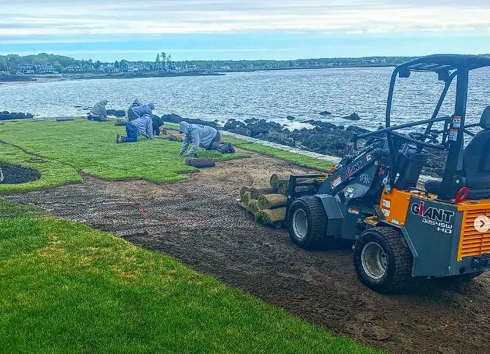Compact loader grading a coastal lawn before hydroseeding in Southern Maine