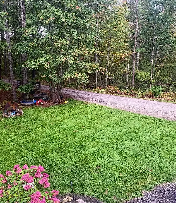 Landscaped garden bed and gravel path with flowering perennials