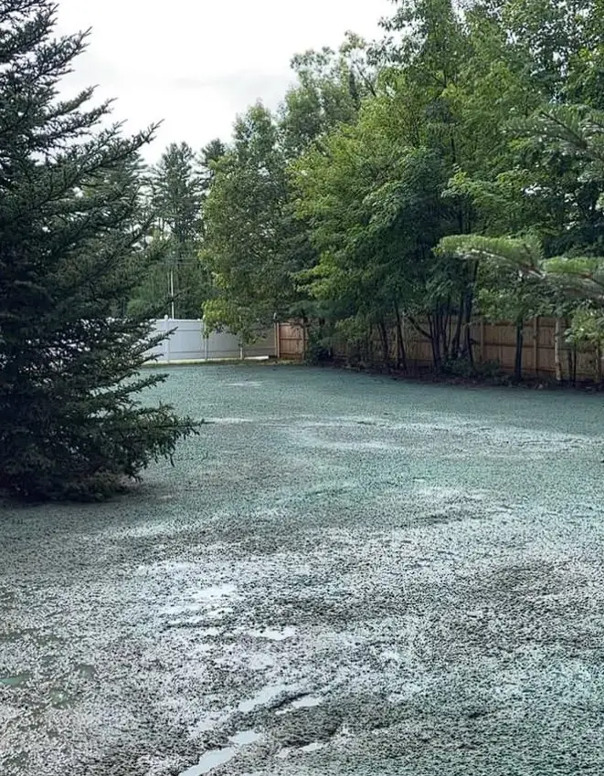 Hydroseeded shoreline buffer area in Southern Maine