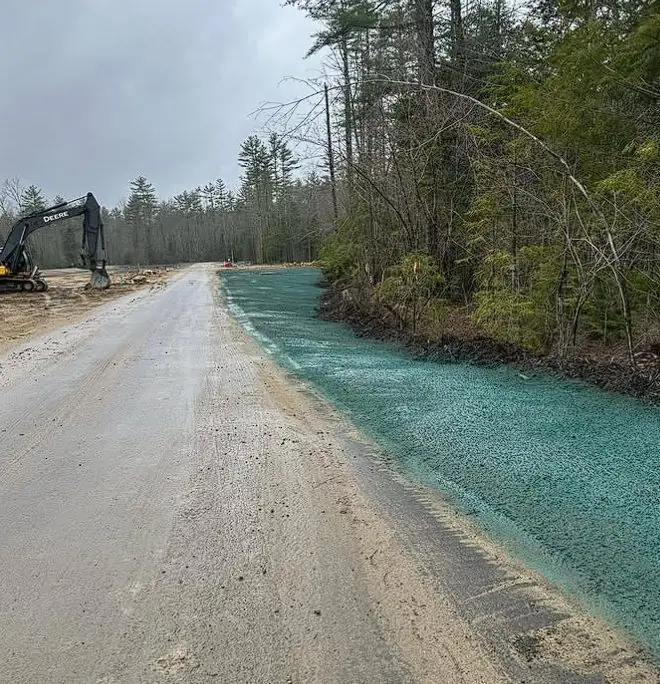 Hydroseeded driveway edges cutting through a wooded Maine property