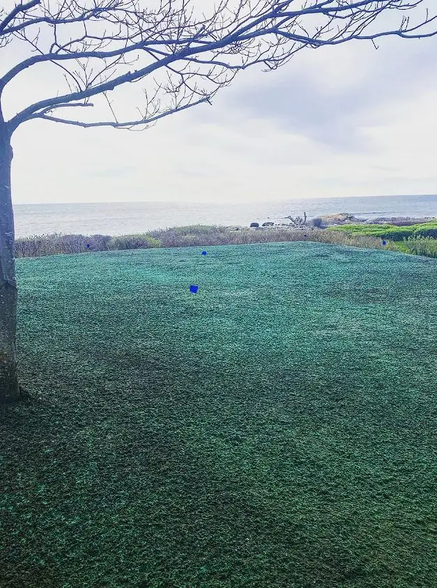 Hydroseeded field with a coastal Maine view