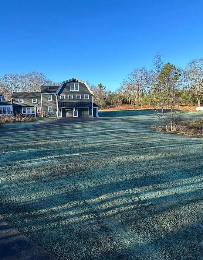 Hydroseeded lawn at a gray-shingled Maine home