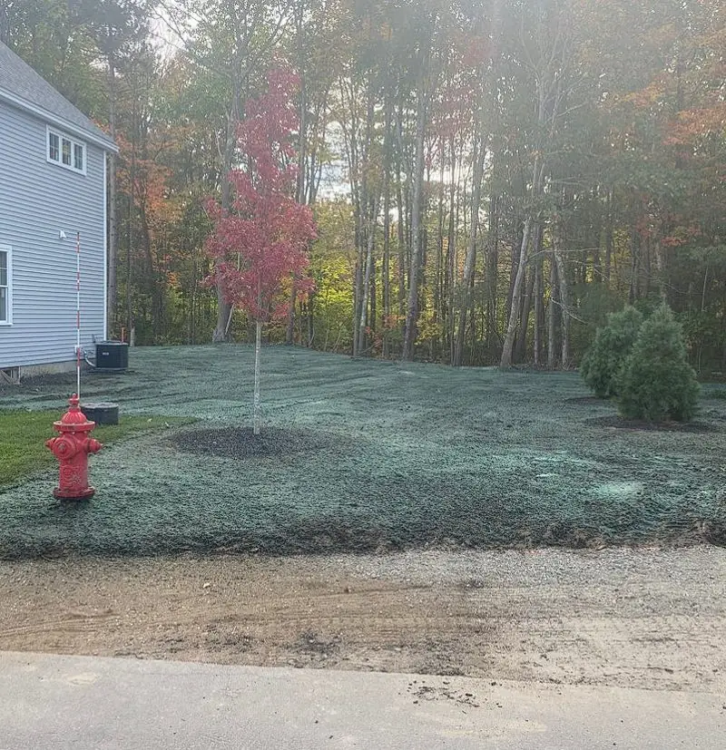 Hydroseeded area near a fire hydrant on a Maine construction site