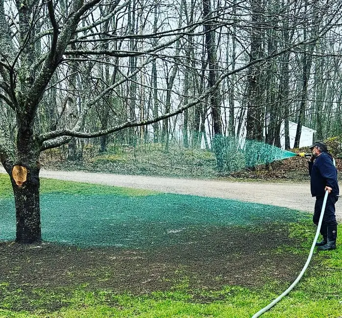Billy Goat Landscaping crew applying hydroseed mulch around a tree on a Southern Maine property