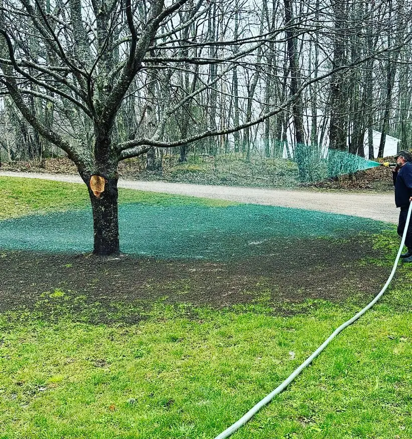 Billy Goat Landscaping applying hydroseed mulch around an established tree