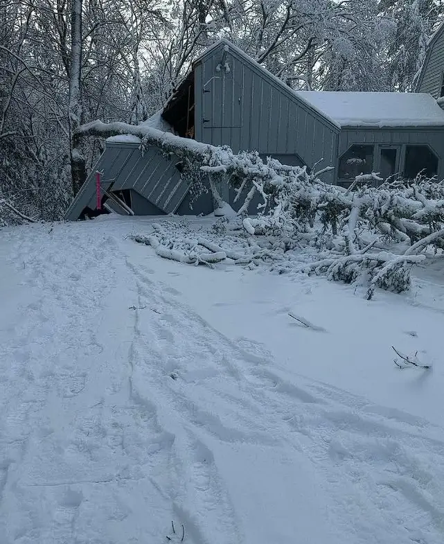 Ice storm tree damage on a snow-covered Maine building roof