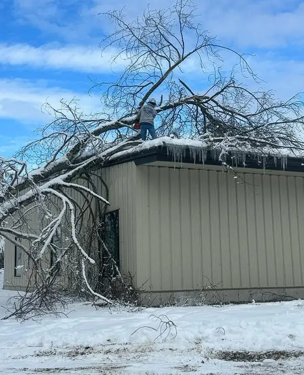 Storm-damaged tree limb on a building roof after a Maine ice storm