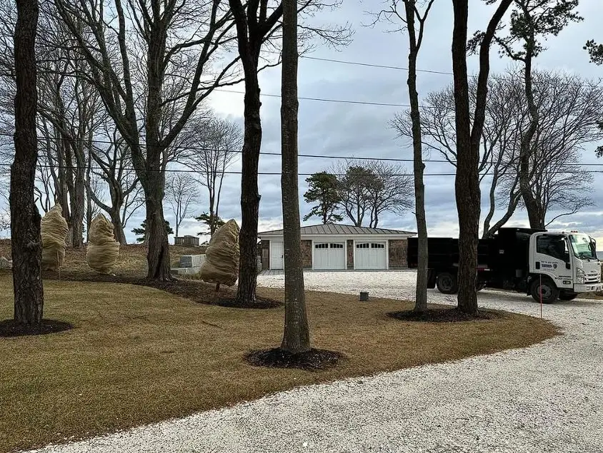 Tree-lined gravel driveway landscaping in Southern Maine